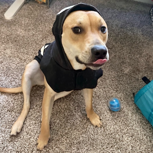 Meet your Posher, Stef๐ - Picture 5 of 11